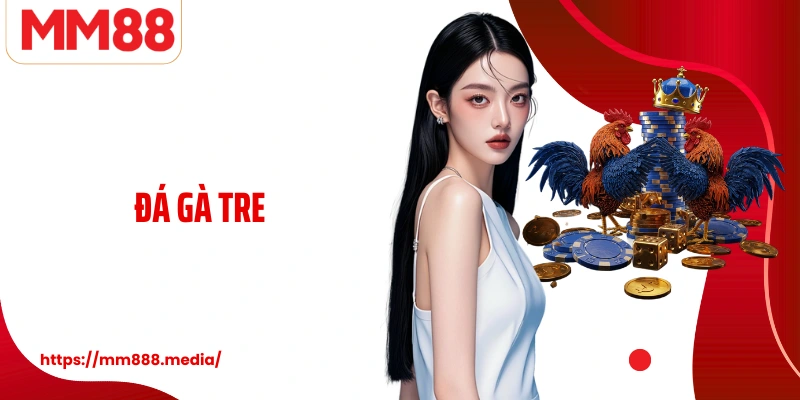 Đá Gà Tre MM88 Truyền Thống, Kỹ Thuật Và Giá Trị Văn Hóa