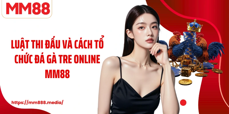 Luật thi đấu và cách tổ chức đá gà tre online MM88